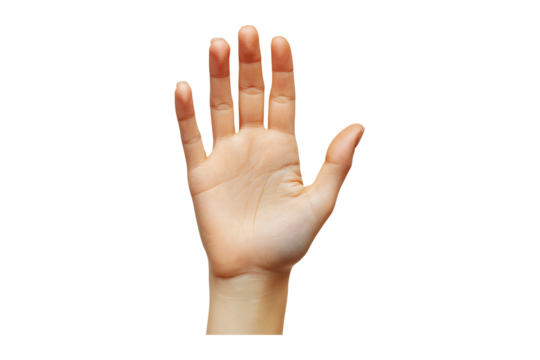 raised hand isolated on transparent background