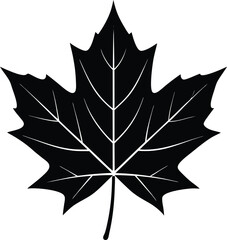 Minimal Vector Maple Leaf with Sharp Natural Shape
