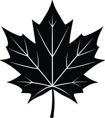 Solid Black Autumn Maple Leaf with Rough Outline
