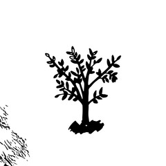 Obraz premium Vector illustration of a small tree with trunk and leaves