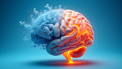 Human Brain Divided with Contrasting Colors Creativity and Logic Visualization