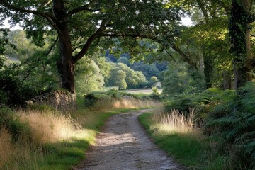 A dirt path curves through a landscape bordered by trees grass and ferns