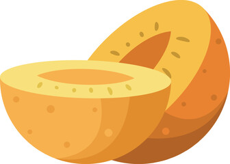 Sliced apricot fuit vector illustration