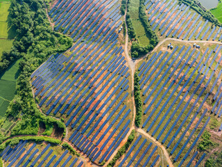 Photovoltaic panels on a hillside