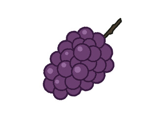 葡萄のイラスト