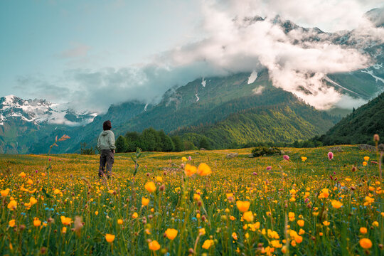 people & alpine meadow with yellow flowers and snow mountains - Powered by Adobe