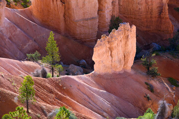 Sunlight highlighting glowing hoodoo rock fin formation in the Bryce Amphitheater, Bryce Canyon...
