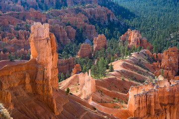 Sunlight highlighting glowing hoodoo rock formation in the Bryce Amphitheater, Bryce Canyon...