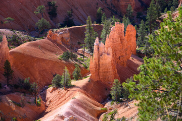 Sunlight highlighting glowing hoodoo rock fin formation in the Bryce Amphitheater, Bryce Canyon...