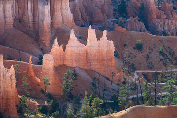 Glowing hoodoo rock formations in the Bryce Amphitheater with the Queens Garden Trail wondering...