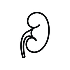Kidney Outline Icon Human Organ Anatomy Medical Illustration on White Background