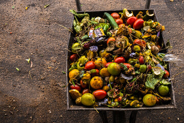 Wheelbarrow full of organic waste, fruits, vegetables. Illustrates food waste, recycling,...