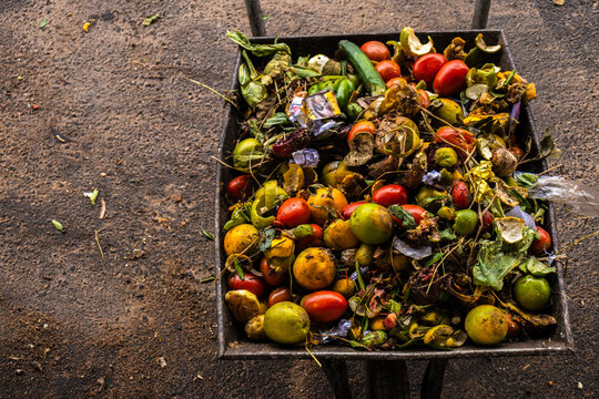 Wheelbarrow full of organic waste, fruits, vegetables. Illustrates food waste, recycling, composting, sustainability, and environmental awareness