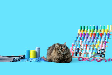 Cute cat with different sewing supplies on color background