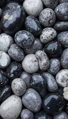 Polished Black and White Stone Collection