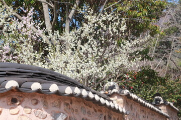The authentic Korean lacal ancient house in the mountains
