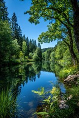 Serene river reflecting a forest canopy