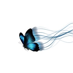 Fototapeta premium Dreamy Butterfly dynamic photo image