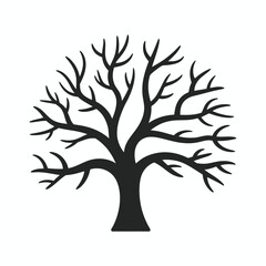 Silhouette of a Bare Tree