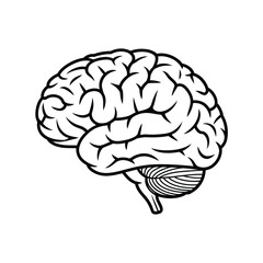 Human Brain Anatomy Outline Icon