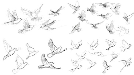 Elegant hand-drawn sketch collection of birds in flight, capturing graceful motion and natural beauty in various flying poses with fine pencil lines.

