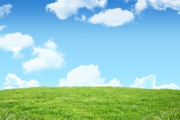 Flat design illustration is showing sloping green grassy hill under blue sky with white clouds