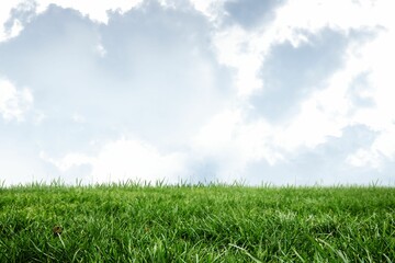 Open grassy field is stretching in flat design, showing grass blades and cloud formations