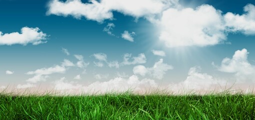 Surface level of grassy field