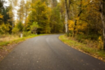 Empty road by autumn trees