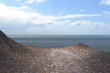 Flat design is showing central dirt path winding through leaf-strewn banks toward calm tidal flat