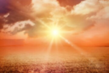 Sun shining over field against sky