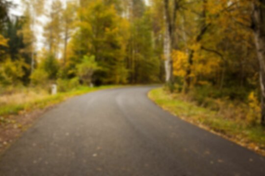 Fototapeta Empty road by autumn trees