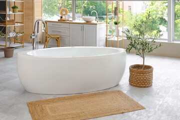 Interior of stylish modern bathroom with decorative olive tree
