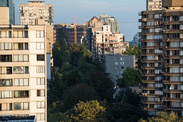 Trees growing amidst buildings