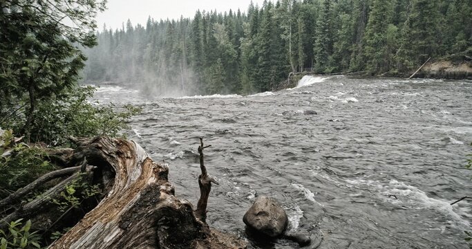 Fototapeta Violent river in forest then waterfall