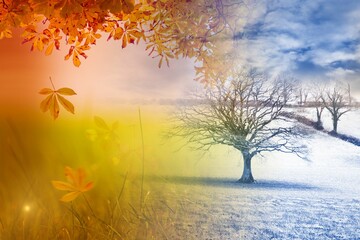 Autumn changing to winter