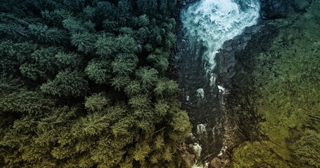 Aerial view showing conifer forest left rocky stream forming waterfall mossy slope right flat style