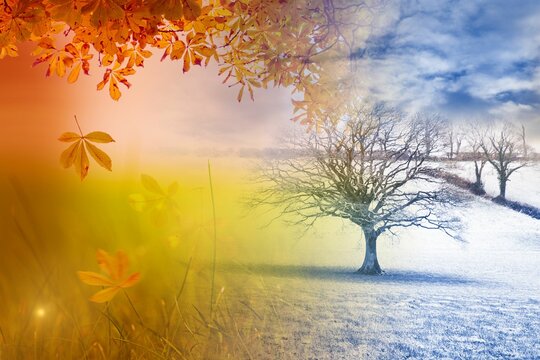Fototapeta Autumn changing to winter