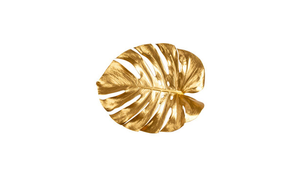 Golden leaves isolated on white background