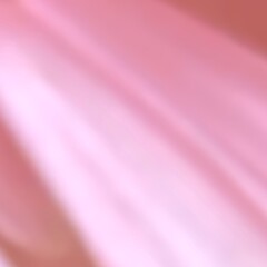 Soft focus of pink petal for love, romance, wedding, happiness background