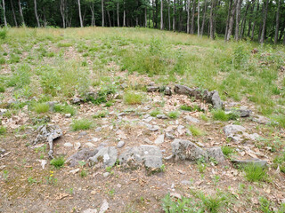 音江環状列石の風景