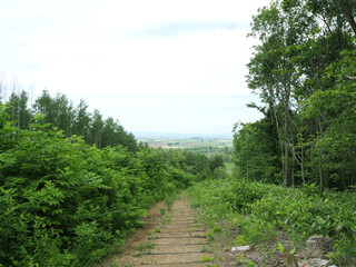 音江環状列石の散策路