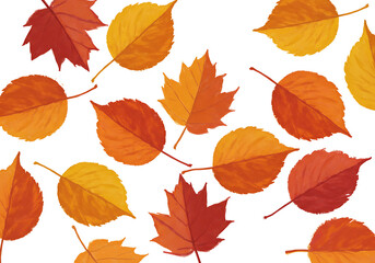 Watercolor Autumn Leaves on White Background Various Colors and Shapes.