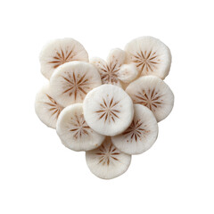Heart-Shaped Arrangement of Sliced Daikon Radish