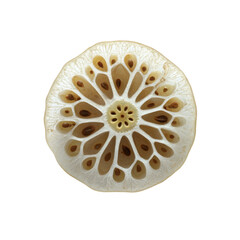 Cross Section of Lotus Seed Head, Intricate Floral Pattern, Botanical Detail
