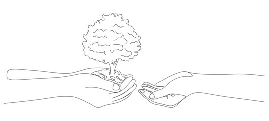 Sustainability in Hand: Hands Cradling a Young Tree Sapling - Environmental Conservation Concept