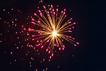 Fototapeta premium Nighttime festivities come alive with vibrant firework explosions.