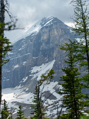 Snow-dusted peaks rise behind conifer trees on the Plain of Six Glaciers trail, near Lake Louise in...
