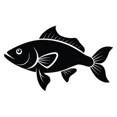 A Fish silhouette vector illustration on a white background