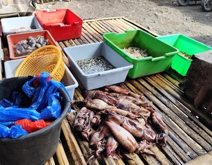 Freshly Caught Squid at Traditional Fish Stall
